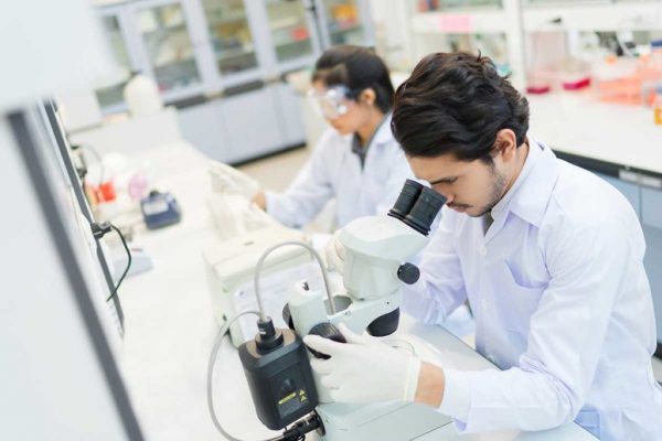 People looking through microscope.